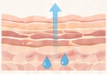 Illustration of a healthy skin barrier retaining moisture